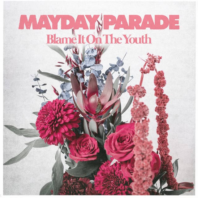 Blame It on the Youth