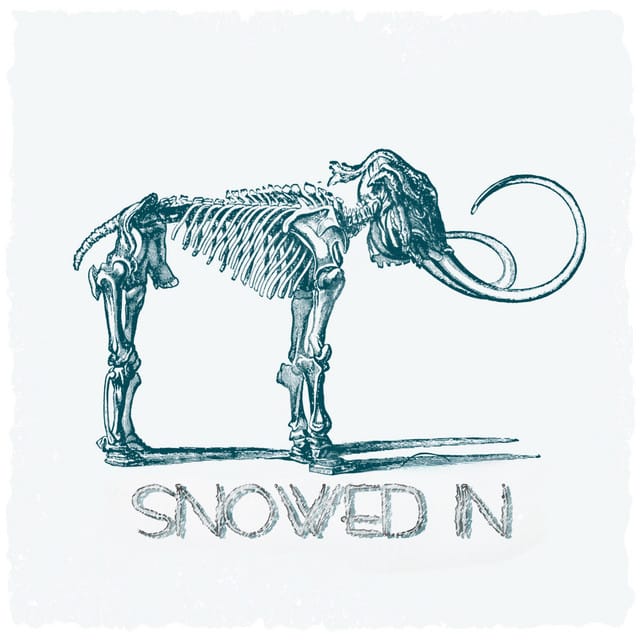 Snowed In