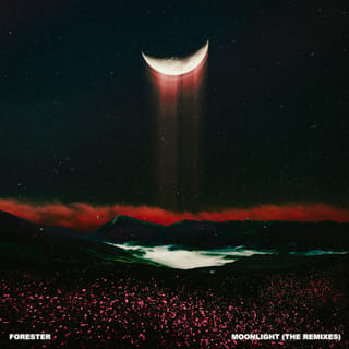 Moonlight (The Remixes) - EP