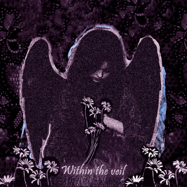 Within The Veil