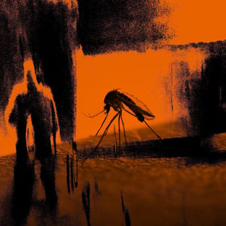 Faster Than the Radio / Mosquito