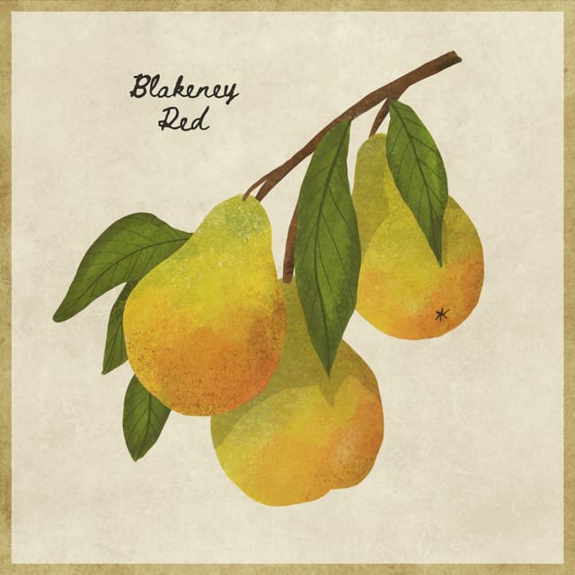 Blakeney Red - Single