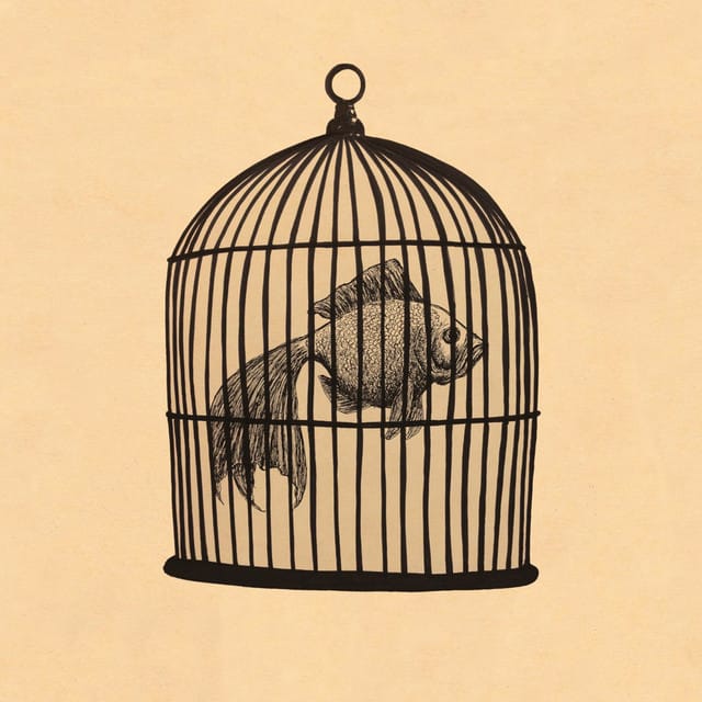 Fish in a Birdcage - EP