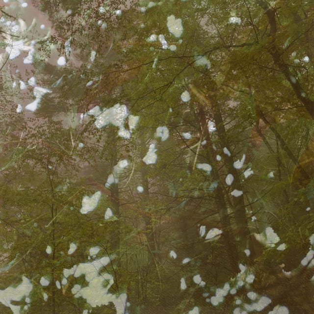 kindness - Single