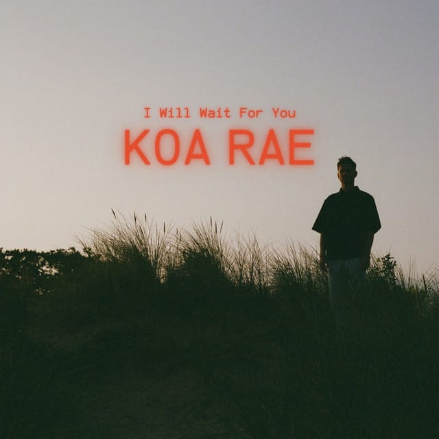 I Will Wait For You