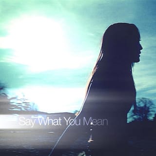 Say What You Mean - Single