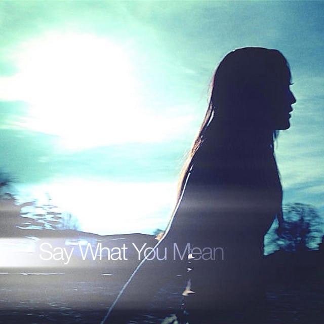 Say What You Mean - Single
