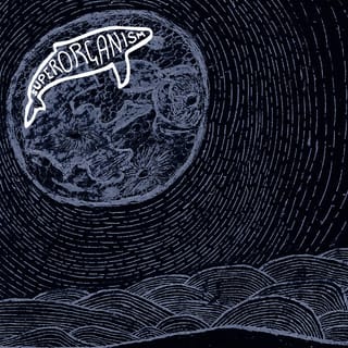 Superorganism (Instrumentals)