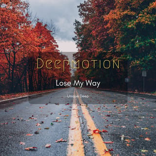 Lose My Way - Single