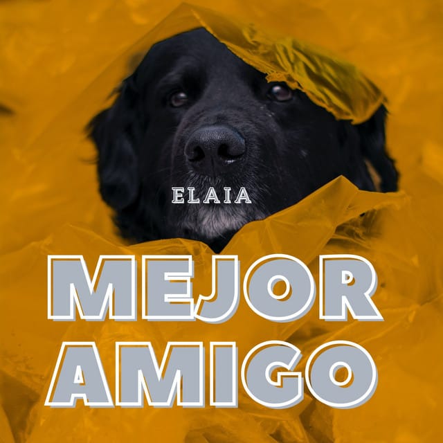 Mejor Amigo - Single