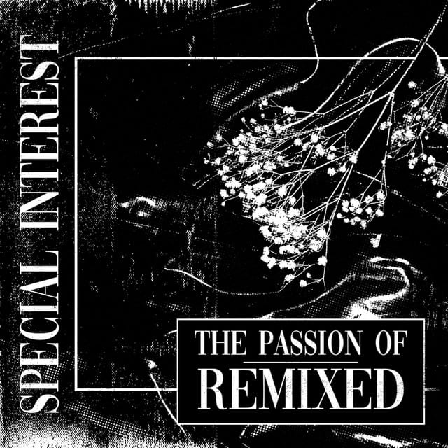 The Passion Of: Remixed