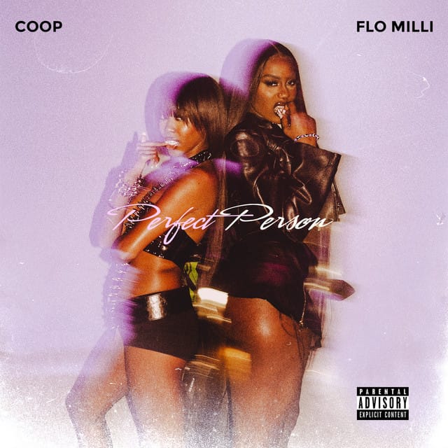 Perfect Person (feat. coop)