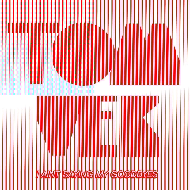 I Ain't Saying My Goodbyes