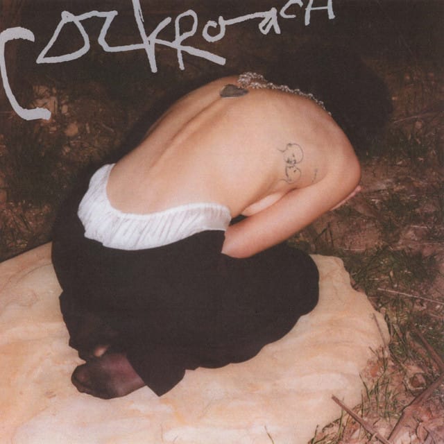Cockroach