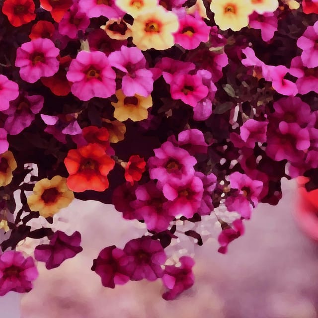 Flowers - Single