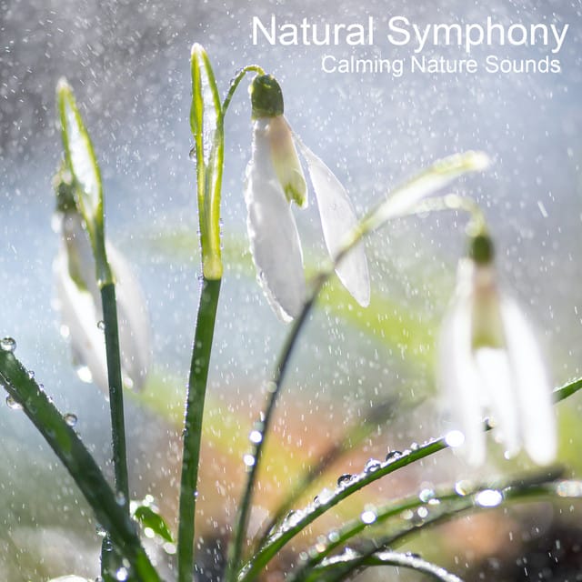 Calming Nature Sounds