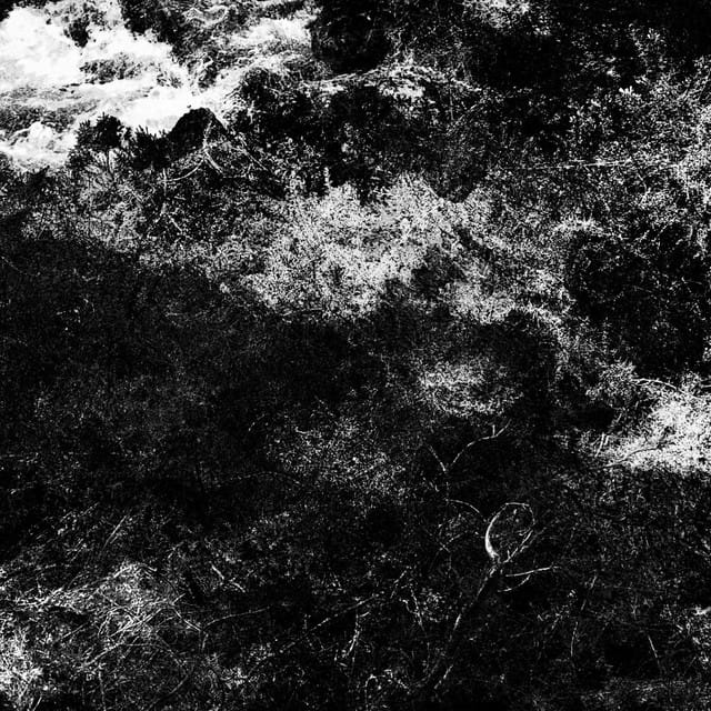 rivages