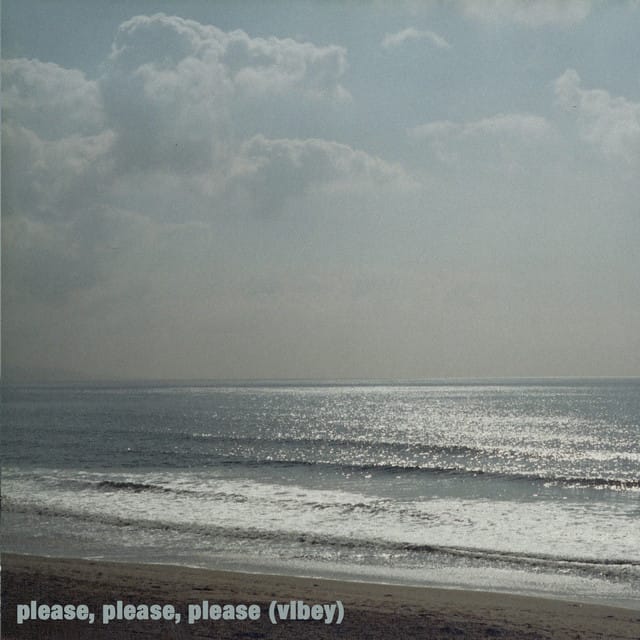 Please Please Please (Vibey) - Single