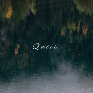 QUIET