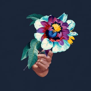 Kingdoms in Colour Remixed