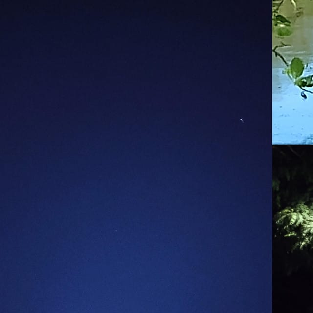 Warm Nights - Single