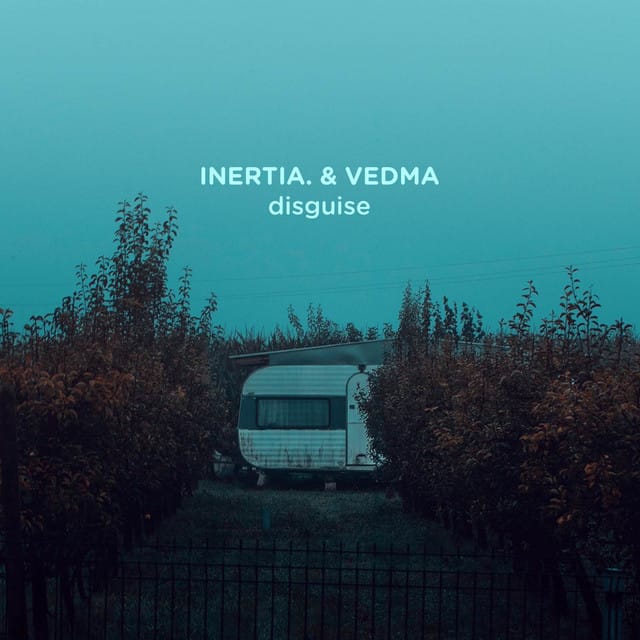 disguise