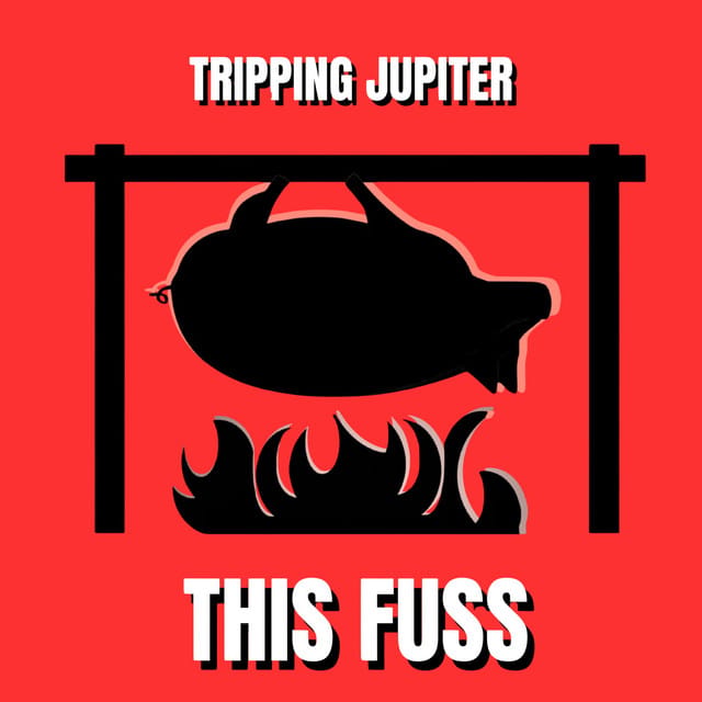 This Fuss - Single