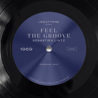 Feel The Groove