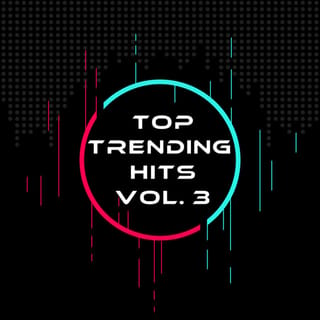 Top Trending Hits Vol. 3