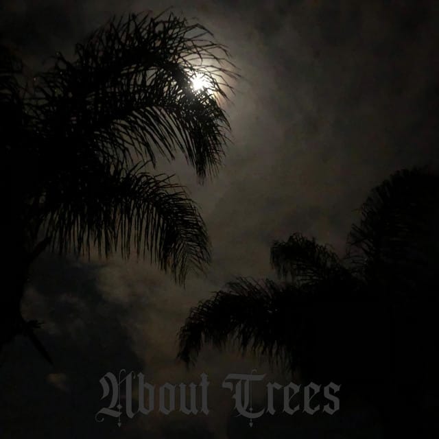 About Trees