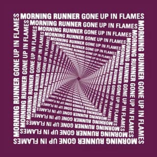 Gone Up In Flames - Single