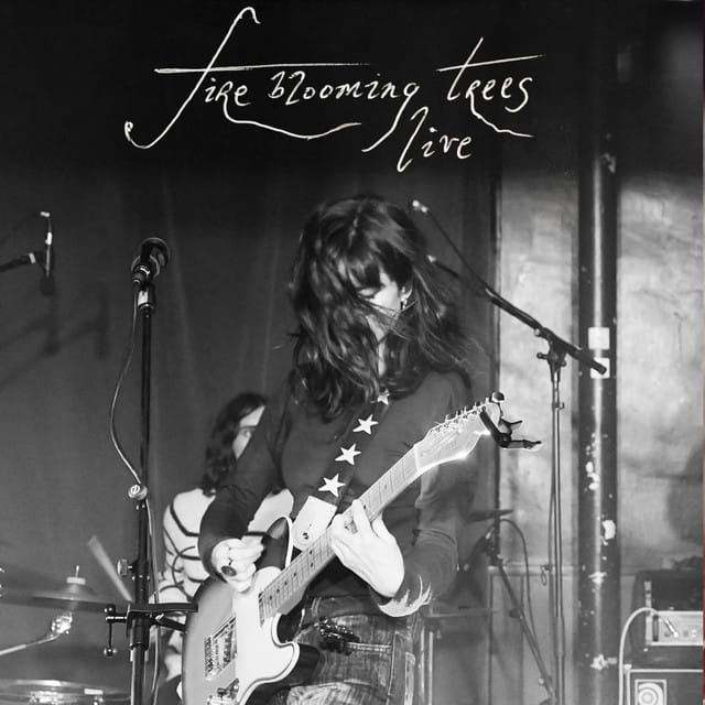 Fire blooming trees (Live)