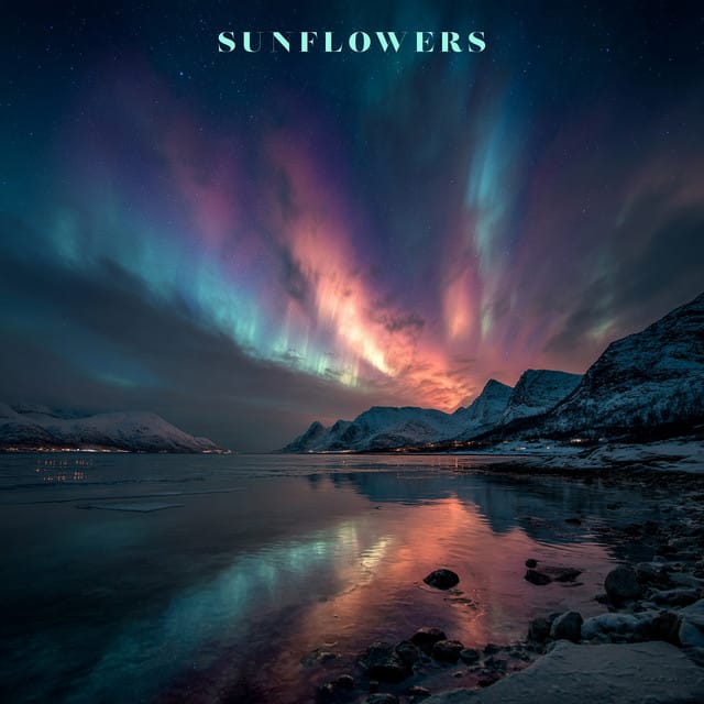 Sunflowers - Single