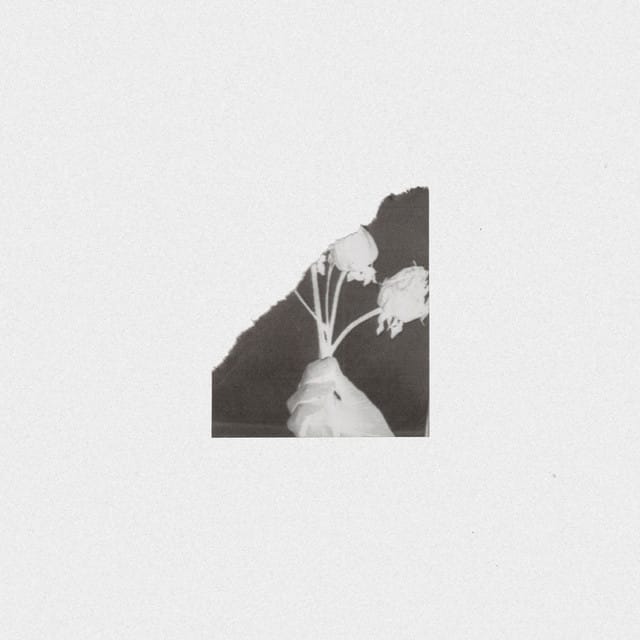 Portra (Jez Williams Remix)