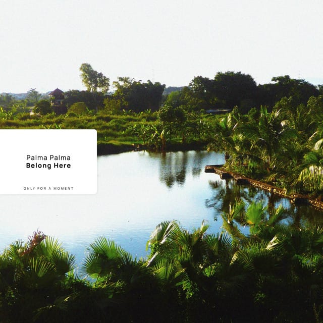 Belong Here - Single