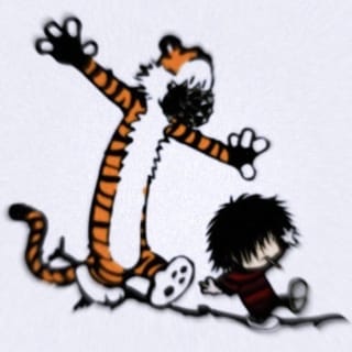 calvin and hobbes