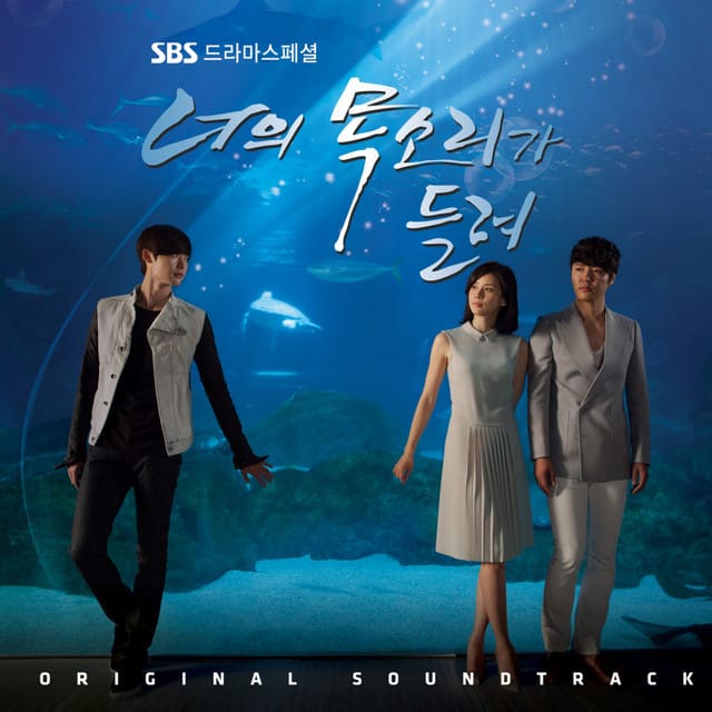 I Can Hear Your Voice (Original Television Soundtrack)