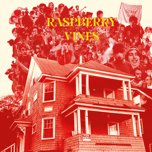 Raspberry Vines - Single