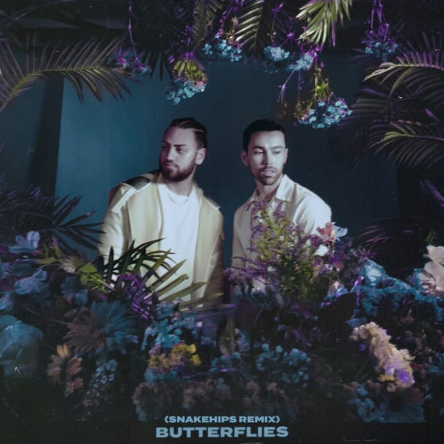 Butterflies (Snakehips remix)