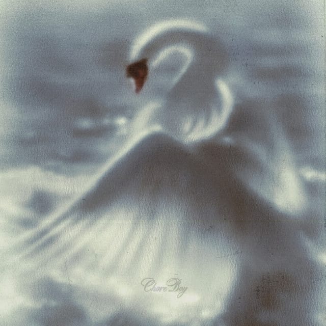 Chore Boy (feat. SALEM)