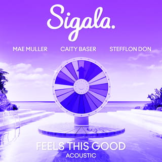 Feels This Good (feat. Stefflon Don) [Acoustic]