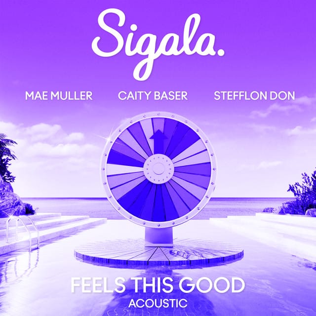 Feels This Good (feat. Stefflon Don) [Acoustic]