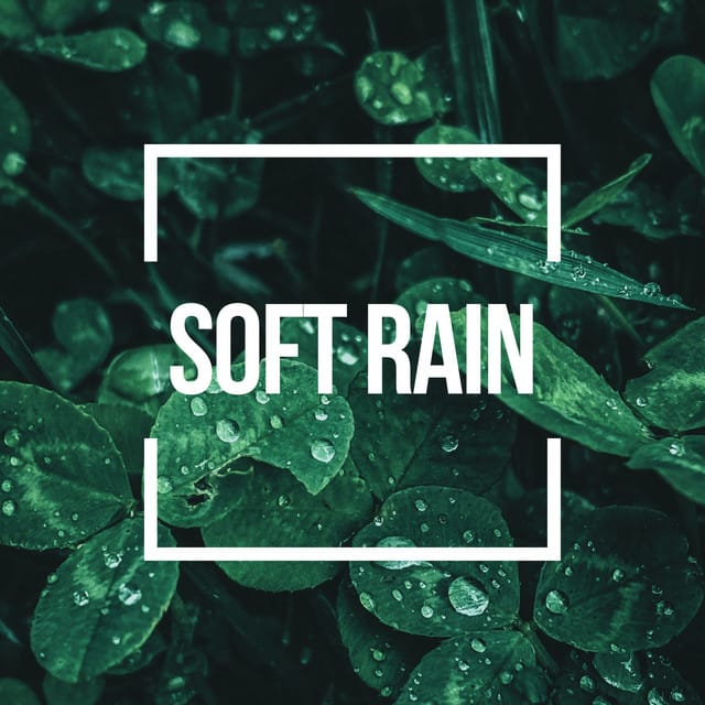 Soft Rain