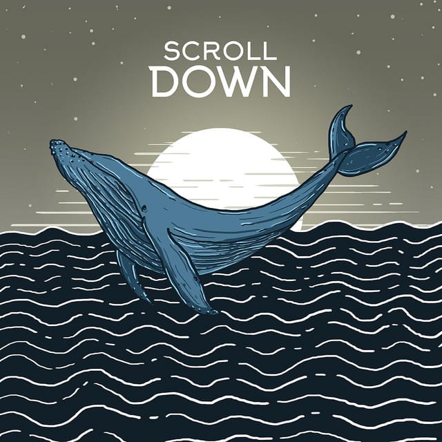 Scroll Down EP