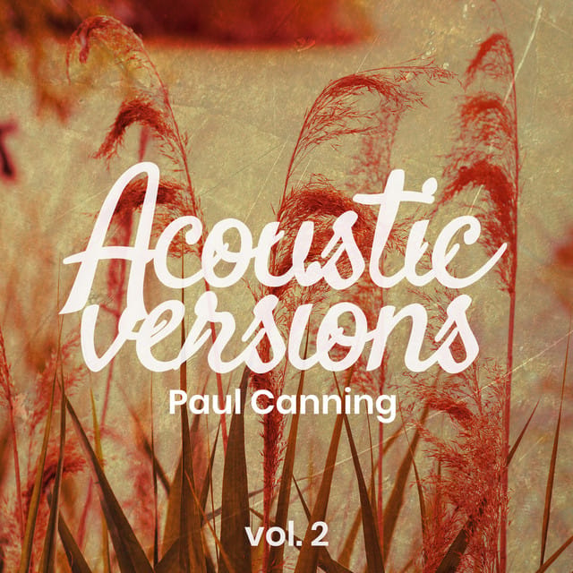 Acoustic Versions, Vol. 2 - Single