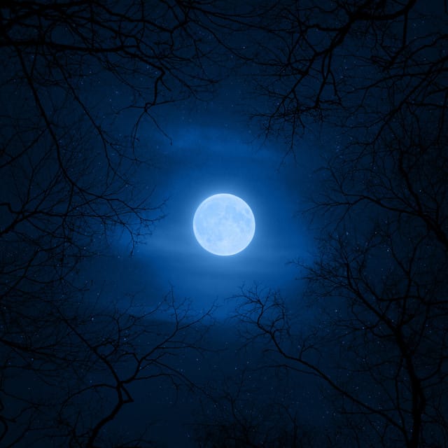 Looking At the Moon - EP