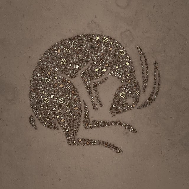 Harpy Hare [Lullaby Version (Slowed)]