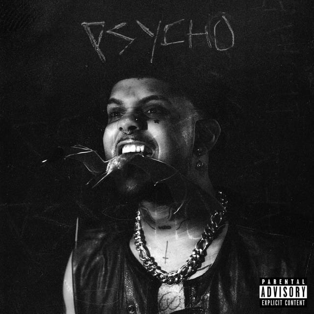PSYCHO (Legally Insane)