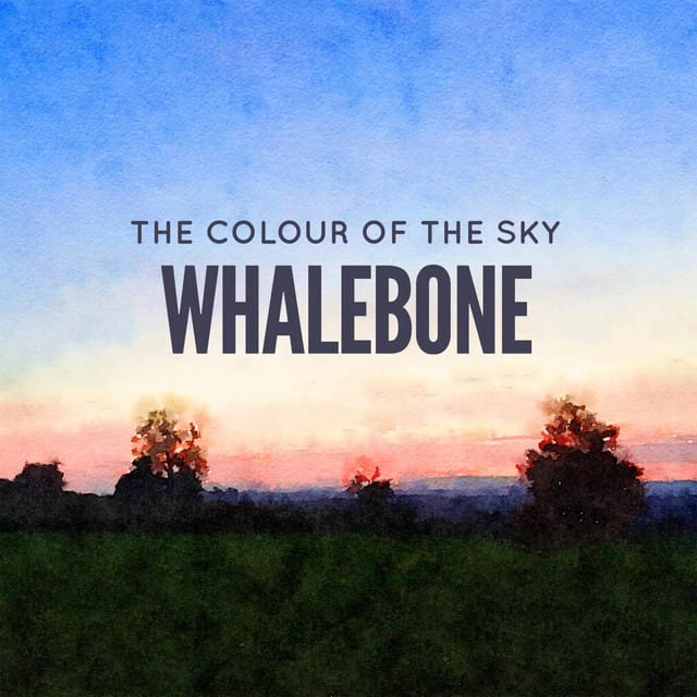 The Colour of the Sky - Single