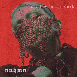 Shadow in the Dark